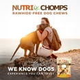 thumbnail image 6 of Nutri Chomps Milk Flavor Premium Rawhide-Free Knotted Dog Chews 4 inch 9 Count, 6 of 7
