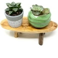 thumbnail image 3 of TJ Global Rustic Small Long Wood Slice Plant Stand, Mini Wooden Stool Vase Stand, Display Stand, Perfect for Home Decor in Any Room Office Garden L9.5" x W3.5" x H3" 1 Stand, 3 of 4