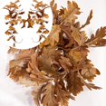 thumbnail image 4 of Lifelike Chrysanthemum Leaf Vine Greenery Hanging For Home Wedding Party Arrangements, 4 of 6
