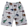 thumbnail image 2 of FEDPOP Toddler Boys 100% Cotton Pajamas Kids Dinosaur Pjs 5t, 2 of 7