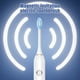 thumbnail image 5 of Cepillo de dientes eléctrico para adultos | 8 cabezales de cepillo de repuesto | 5 modos de limpieza | 42000 VPM | USB recargable | Batería de larga duración | Resistente al agua IP65 | Cerdas, 5 of 8