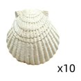 thumbnail image 2 of 10 Piece Mini Resin Seashells, DIY Seashell Decor for Beach Crafts Aquarium Layout Indoor Outdoor, Gift& Coastal Decor, 2 of 6