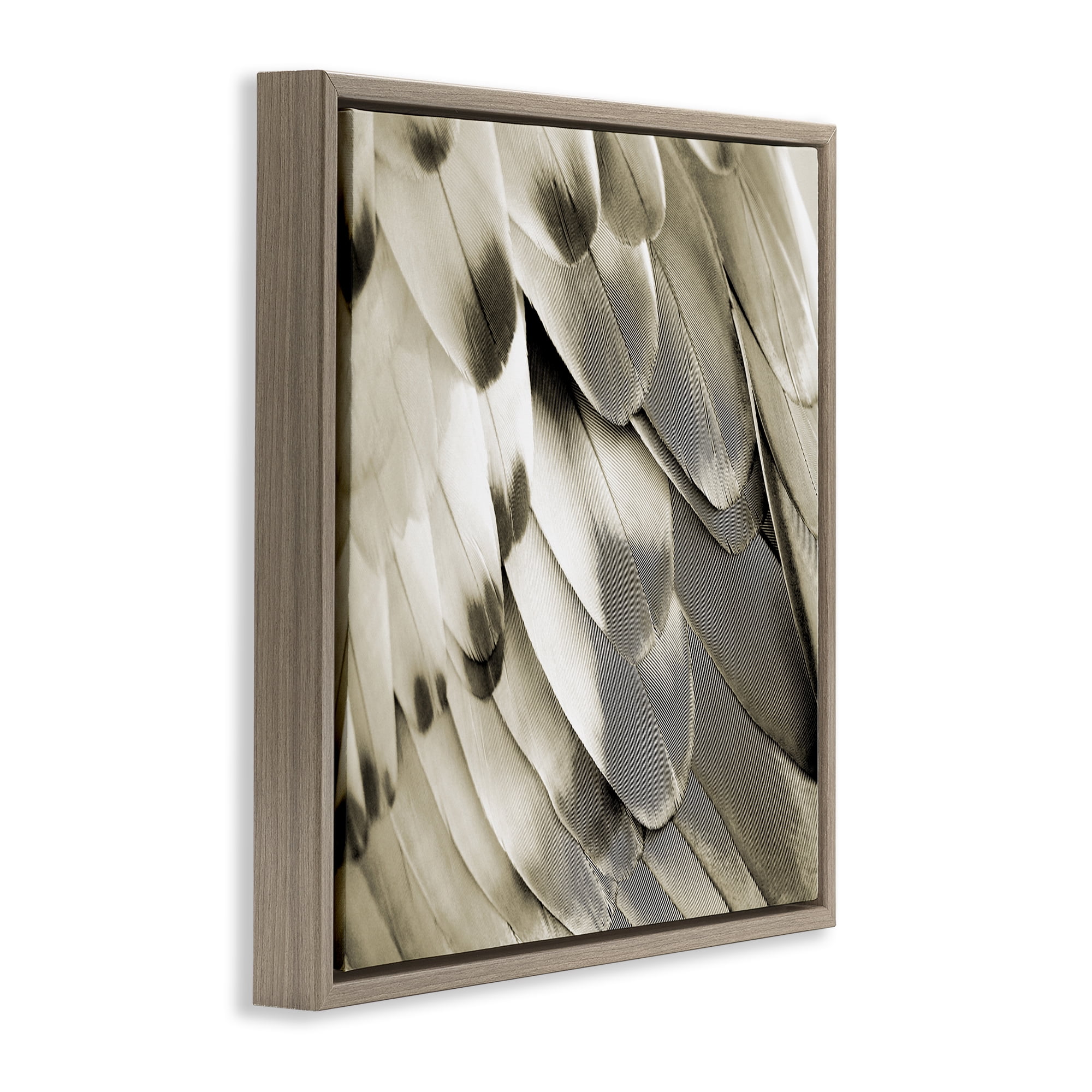 Stupell Industries Sleek Wing Feathers Animals Painting Brown Floater Framed Canvas Art Print Wall Art, 25 x 25