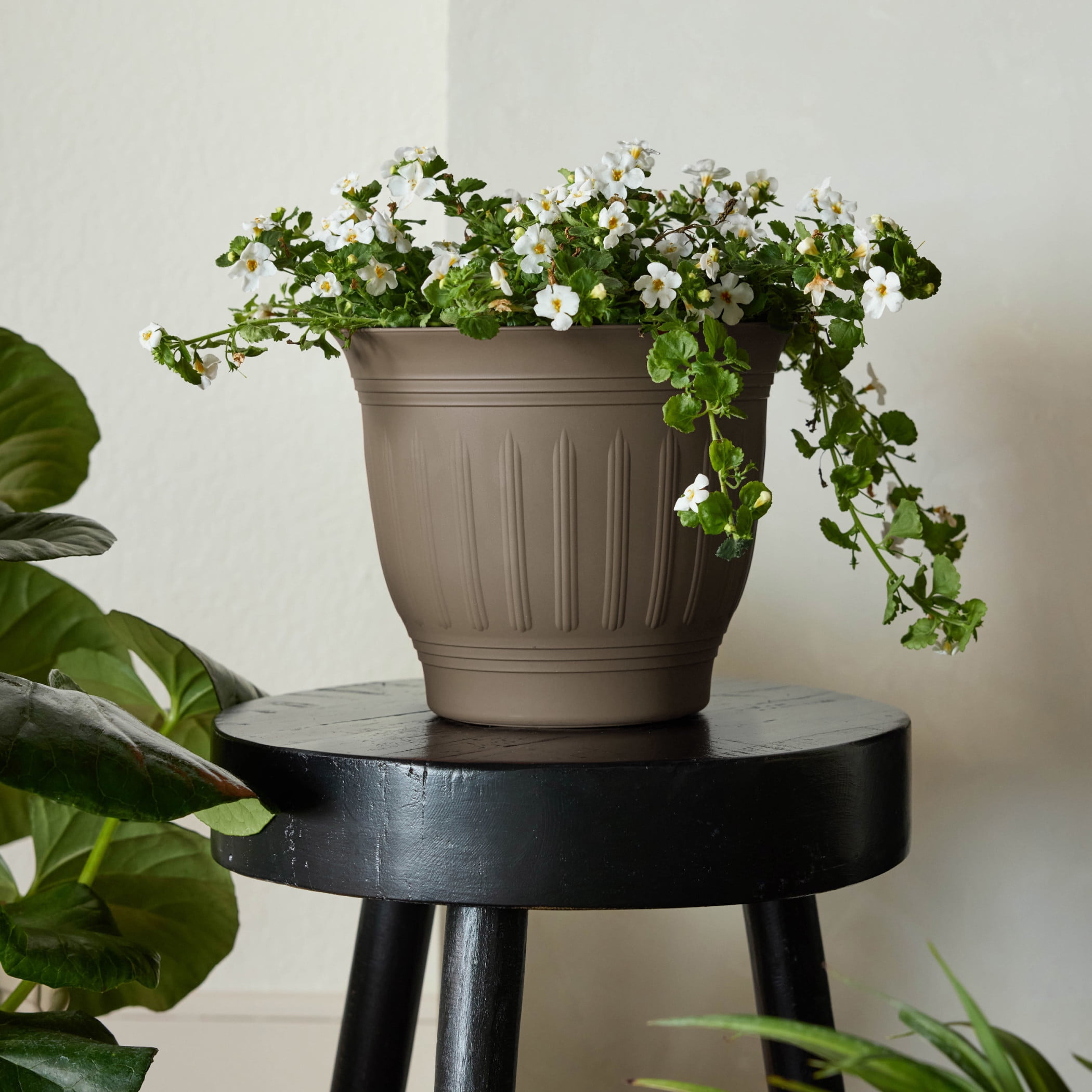 Bloem Colonnade 8" Round Plastic Planter, Indoor/Outdoor Garden Pot with Embossing, Peppercorn