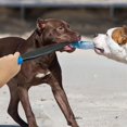 thumbnail image 2 of Professional Dog No Bite Sticks Safely Separates Food Aggressions Protect Crowbar Break Stick Chew Toys For For Training K9 Police German Shepherd Pit, 2 of 5