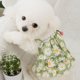 thumbnail image 5 of Vestido de princesa floral para perros, vestido de gato, falda de hilo multicapa, vestidos ligeros para mascotas, 5 of 6