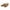 #02Brown, variant on SWQZVT Women's Summer Sandals Casual Wedge Shoes Comfortable Ankle Strap Outdoor Platform Sandals Dress Sandals for Women Black Size 7