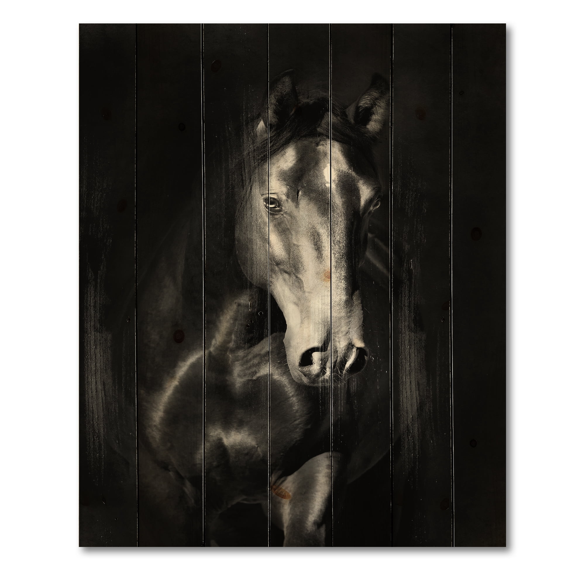 Designart 'Close Up Portrait Of Black Kladruby Horse' Farmhouse Print on Natural Pine Wood
