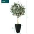 thumbnail image 3 of DR.Planzen UV Resistant 7ft Artificial Olive Tree in Black Large Planter with Pebbles– Faux Olive Tree for Indoor and Outdoor Decor, Lifelike Greenery for Home & Garden Decor, 3 of 10