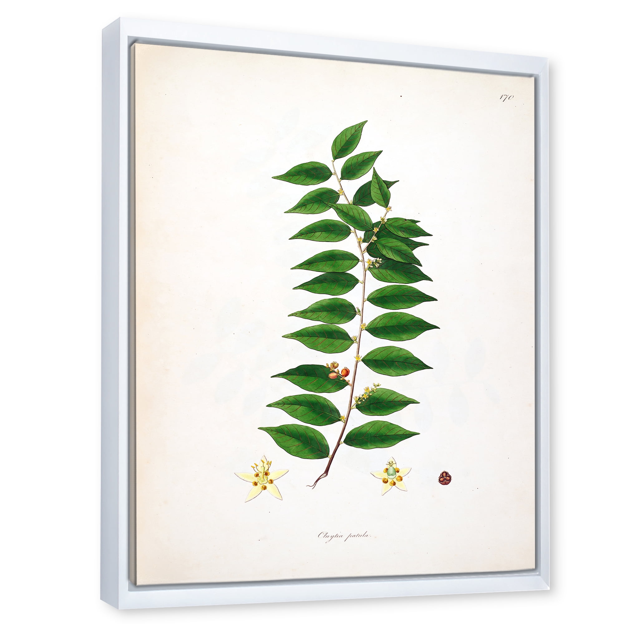 Designart 'Ancient London Plants VI' Farmhouse Framed Canvas Wall Art Print