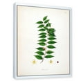 thumbnail image 3 of Designart 'Ancient London Plants VI' Farmhouse Framed Canvas Wall Art Print, 3 of 5