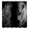 thumbnail image 3 of Ambesonne Black and White Shower Curtain, Wild Leopards, 69"Wx70"L, Black White Blue, 3 of 3