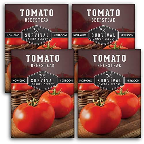 DO NOT PUBLISH - 4 PACK