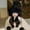 Black, variant on Sales Today Under $5 Beige Winter Skull Cap GIJNRIUIUA Women's Fashion Winter Hat Plush and Thicken Fashion Custom Warm Hats Cap Hat Headscarf Beanie