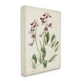 thumbnail image 4 of Stupell Industries Vintage Foxglove Study Botanical & Floral Painting Gallery Wrapped Canvas Art Print Wall Art, 36 x 48, 4 of 8