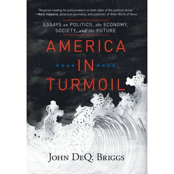 America in Turmoil: Essays on Politics, the Economy, Society, and the Future, (Hardcover)