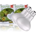 thumbnail image 1 of czcpp-Reptile Ampoule Chauffante, Spot de Baking Lumière du Jour, Dragon Barbu/tortue/zard/gecko Ampoule, Lampe Chauffante UVA, Lumière de Baking pour Reptiles (Lot de 2 Spot de Baking Lumière du Jour, 75W), 1 of 4
