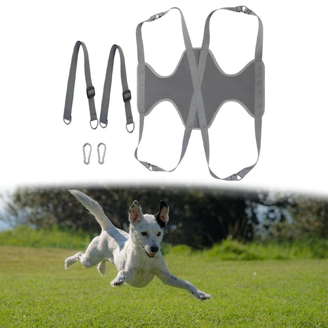 Hamaca para perros y gatos, soporte para ayudante, hamaca duradera para el cuidado de mascotas, arnés, bolsa de sujeción para aseo, baño y lavado Gris L