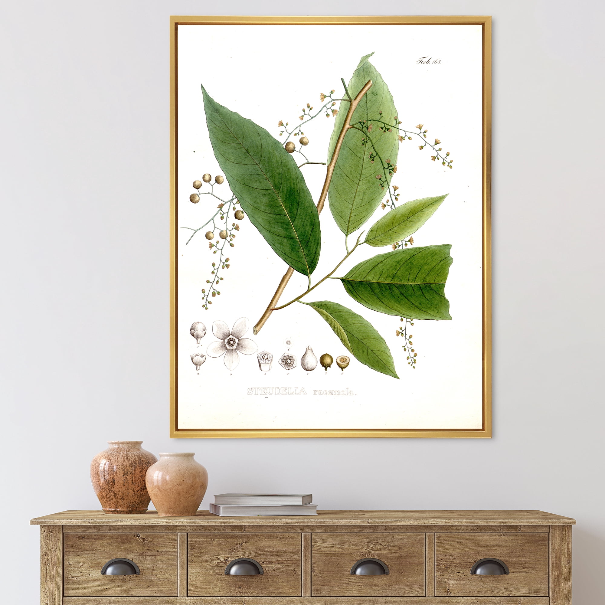 Designart 'Ancient Brazilian Plant I' Traditional Framed Canvas Wall Art Print
