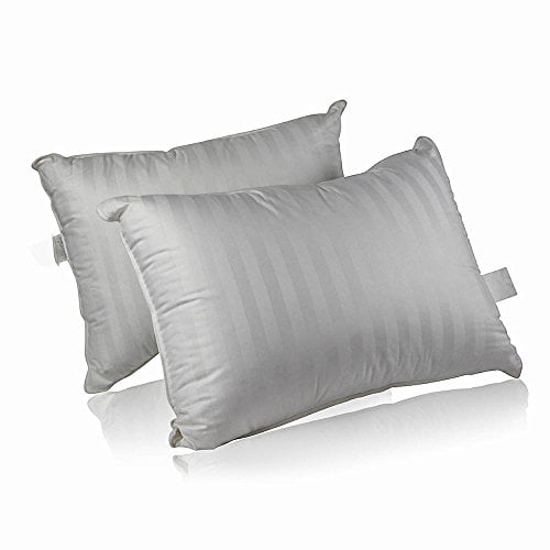 Superior 100 Down 700 Fill Power Hungarian White Goose Down Pillow