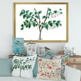 thumbnail image 3 of Designart 'Ancient Green Leaves Plants I' Traditional Framed Art Print, 3 of 4