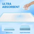 thumbnail image 4 of Dog Pee Pads 22"x23", Pee Pads for Dogs, Disposable Puppy Pads Pet Training Pads Super Absorbent Leak-Proof Quick Drying Pee Pads (30 Count), 4 of 7