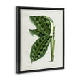 thumbnail image 4 of Stupell Industries Lush Plant Leaf Study Plants & Flowers Painting Black Floater Framed Canvas Art Print Wall Art, 17 x 21, 4 of 10