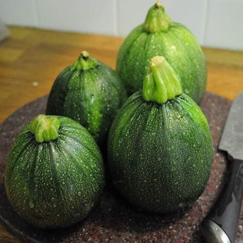 HJADGG Graines de Courgette, Variété Patrimoniale Botsman, non-OGM, Lot de 50 Graines