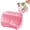 Hot Pink, variant on Small Multifunctional Desk Organizer Caddy Home Accessory Tray for Stationery Art Supply Bathroom Storage Versatile Plastic