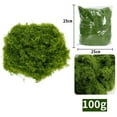 thumbnail image 1 of Bgsha Realistic Faux Moss for Model Making 50g 100g 200g Enhances Creativity, 1 of 7