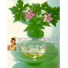 Aromatherapy for Women, Used [Paperback]