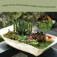 thumbnail image 4 of ZYAPA 10OZ Fake Moss Artificial Moss for Potted Plants Greenery MossHome Decor Fairy Garden Crafts Wedding Decoration (Fresh Green), 4 of 6