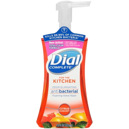 Dial Complete Antibacterial Foaming Hand Wash, Citrus Sunburst for the Kitchen, 7.5