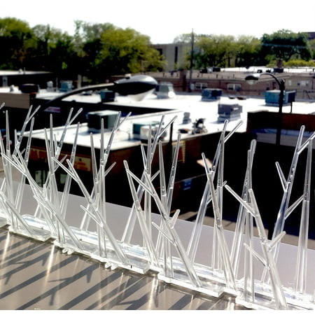 Bird-X Plastic Bird Spikes Bird Control Pigeons 10 feet Safe Pest Control for Pest Type Birds