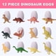 thumbnail image 5 of Kit de excavación de huevos de dinosaurio, paquete de 12 kits de experimentos científicos de excavación de huevos de dinosaurio para niños de 4 a 12 años, cesta de Pascua/relleno de medias, juguetes p, 5 of 7