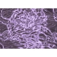 thumbnail image 1 of Ahgly Company Indoor Rectangle Patterned Purple Jam Purple Area Rugs, 5' x 7', 1 of 1