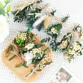 thumbnail image 3 of SH 10 Pack Dried Flower Bouquets Green Series Natural Dried Plant with Stem Real Flower Bundles Artificial Eucalyptus for Vase, DIY, Farmhouse Decor,Wedding Crafts,Home Party Fake Plant Decor, 3 of 16