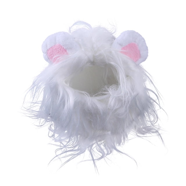 Chapeau pour Animaux de Compagnie 2025, Couvre-Chef de Bikini pour Chiot, Chapeau d'Anniversaire pour Garçon, Couvre-Chef pour Chat, Perruque d'Anniversaire pour Garçon