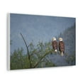thumbnail image 2 of Couple of Bald Eagle on a Tree Limb Print Animal Wall Art Wildlife Canvas Prints Wall Art Ready to Hang Unframed, 2 of 18