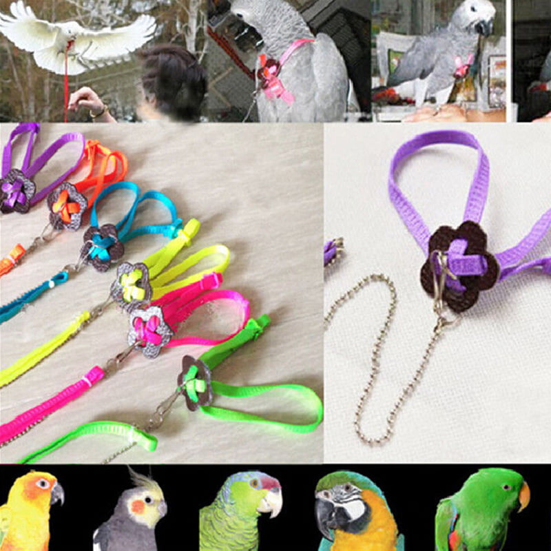 Parrot harness bird leash adjustable soft light fashion anti bite multicoloredTE 