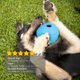thumbnail image 2 of Faltan juguetes de comida Natural Rubber Dog Toy - Rubber Dog Toy - Heavy Duty Rubber Dog Play Ball - Chew Toy - for Large & Small Dog - Dog Ball Zhivalor YQ-060, 2 of 2