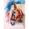 thumbnail image 2 of Kovacs, Anna Brigite 19x24 White Modern Wood Framed Museum Art Print Titled - Horse, 2 of 4