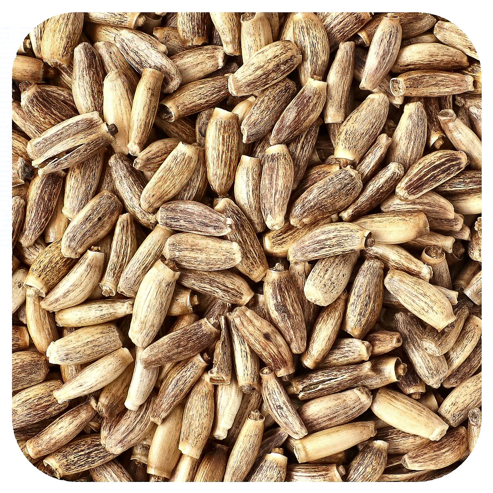 Starwest Botanicals Organic Milk Thistle Seed 1 lbs Bulk