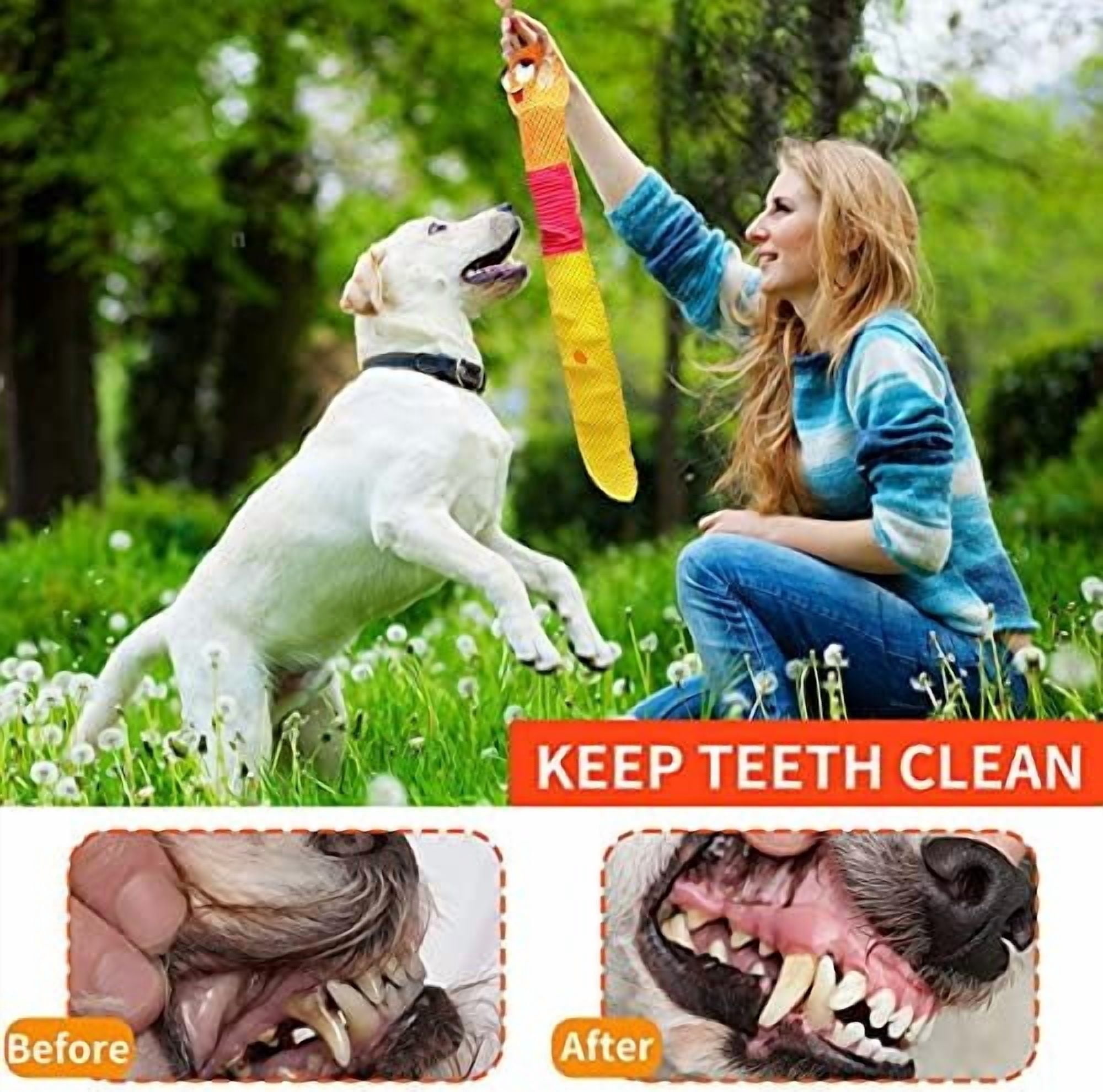 Dog Enrichment Toys - Dog Puzzles Squeaky Treat Dispensing Crinkle Plush Snuffle Toys - Treat Toy for Small Medium Large Breed Puppy, Snail