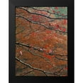 thumbnail image 2 of Fitzharris, Tim 15x18 Black Modern Framed Museum Art Print Titled - Blackgum in autumn near Milwood Lake Arkansas, 2 of 5