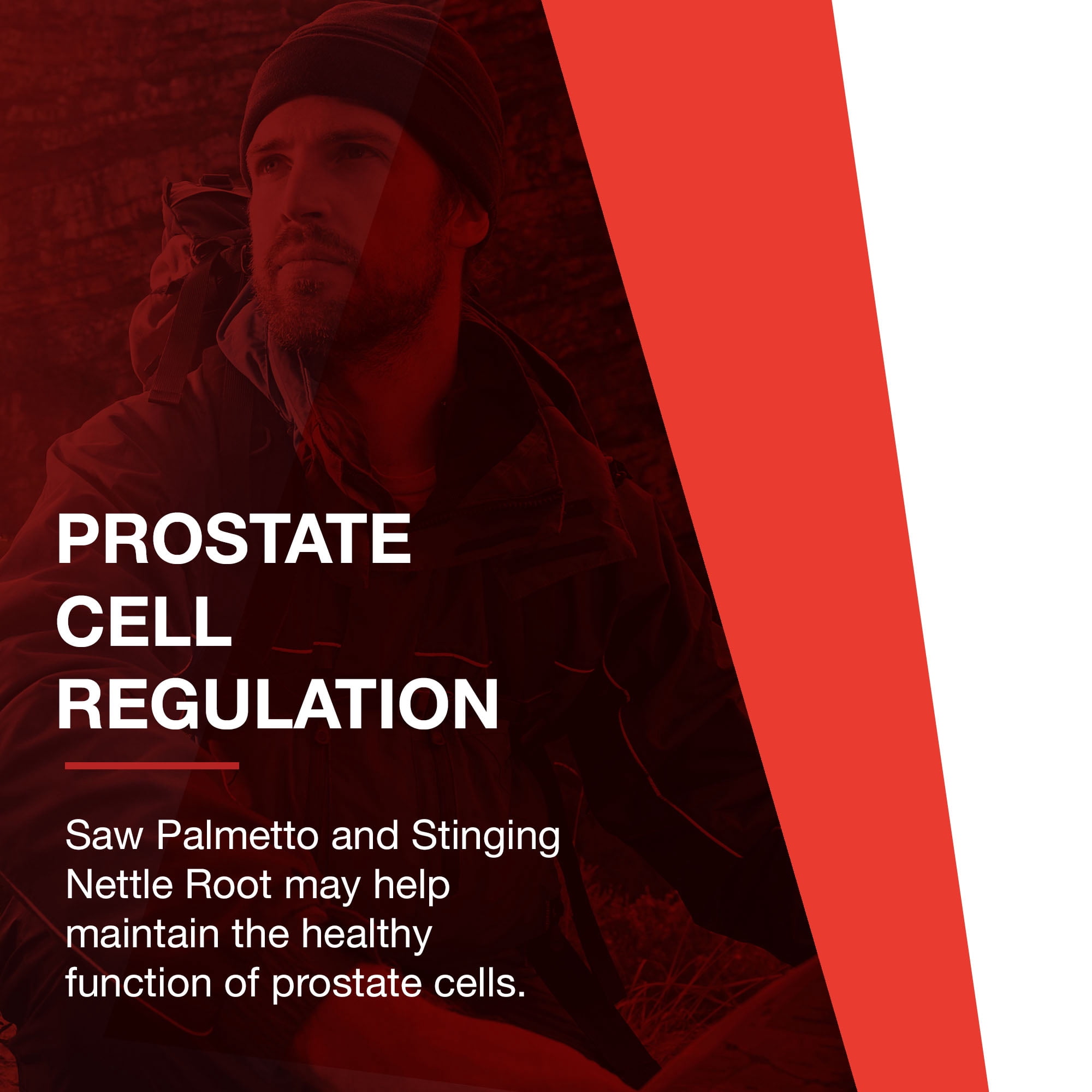 Protocol Ortho Prostate - Prostate Health Supplements for Men - 90 Softgels
