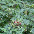 thumbnail image 3 of Midwest Air 889523A 3 ft. x 25 ft. PVC Multi-Purpose Netting- Black, 3 of 3