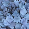 thumbnail image 3 of Koyal Wholesale 200-Pack Silk Rose Petals, Diamond Blue, 3 of 7