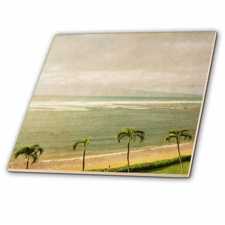 - 3dRose Vintage Maui Palm Trees and Beach Tropical Photography - Ceramic Tile, 6-inch