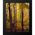 thumbnail image 2 of Mansfield, Kathy 12x14 Black Modern Framed Museum Art Print Titled - Sanctuary Woods I, 2 of 5